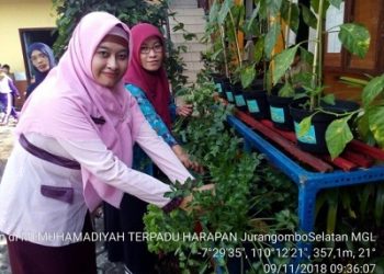 Pengembangan Kebun Madrasah Sebagai Upaya Mengajarkan Anak Peduli Terhadap Penghijauan